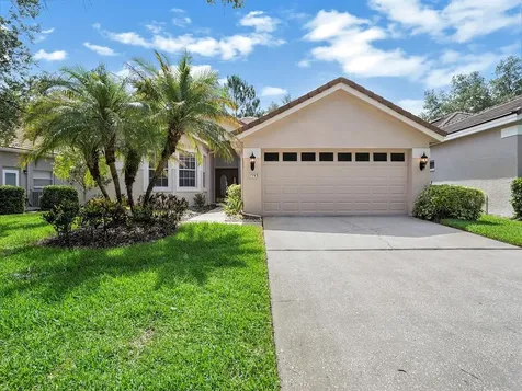 17743 Nathans Drive Tampa FL 33647