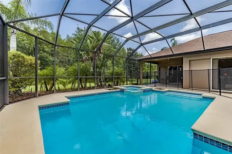 3229 Sheehan Drive Land O Lakes FL 34638