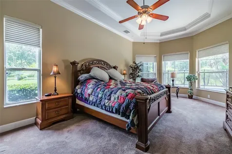 3229 Sheehan Drive Land O Lakes FL 34638