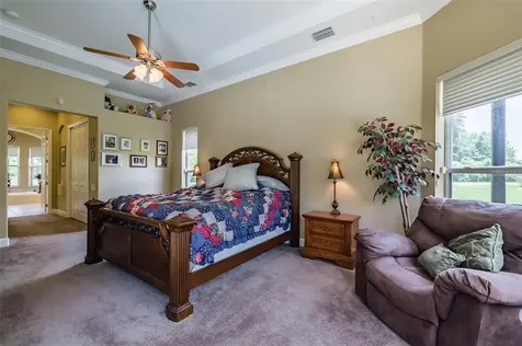3229 Sheehan Drive Land O Lakes FL 34638