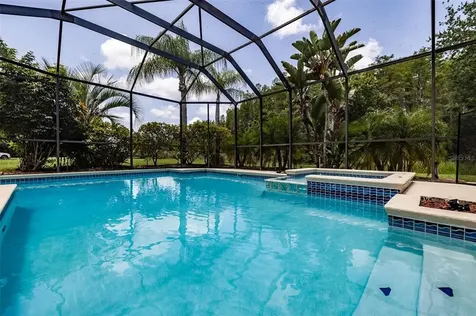 3229 Sheehan Drive Land O Lakes FL 34638