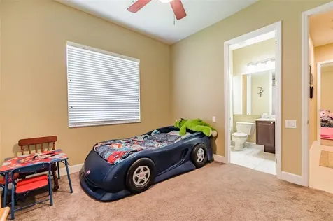 3229 Sheehan Drive Land O Lakes FL 34638