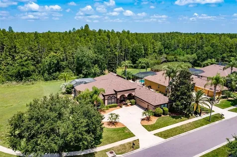 3229 Sheehan Drive Land O Lakes FL 34638
