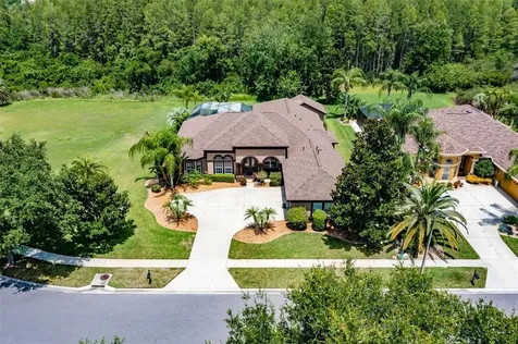 3229 Sheehan Drive Land O Lakes FL 34638