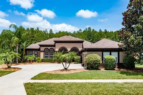 3229 Sheehan Drive Land O Lakes FL 34638