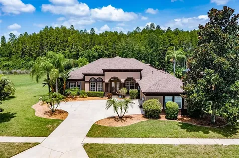 3229 Sheehan Drive Land O Lakes FL 34638