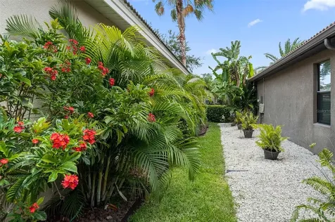 2568 Grand Lakeside Drive Palm Harbor FL 34684