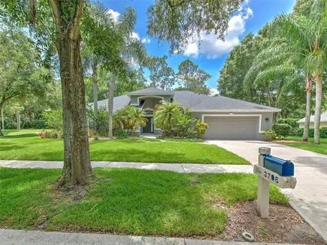 3706 Spruce Pine Drive Valrico FL 33596