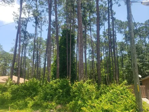 44 Utica Path Palm Coast FL 32164