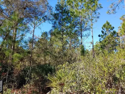 2520 Coconut Boulevard Bunnell FL 32110