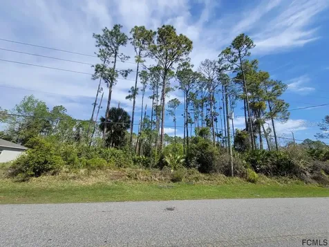 113 Parkview Drive Palm Coast FL 32164