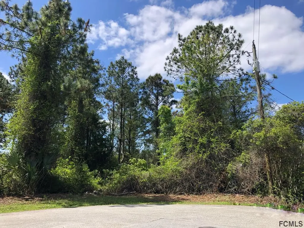 11 Uhler Court Palm Coast FL 32164