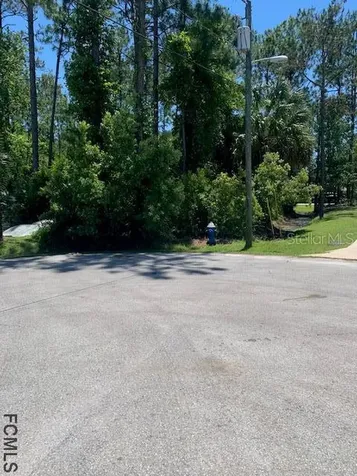 15 Rainbush Place Palm Coast FL 32164