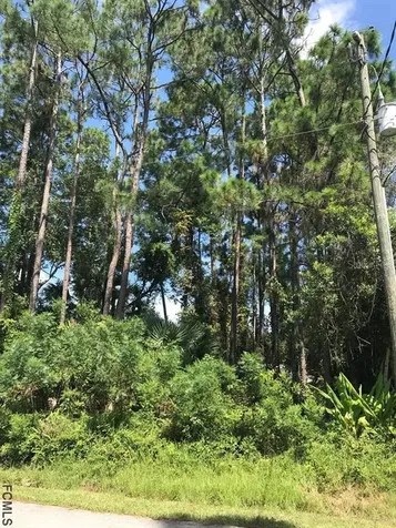 51 Barkley Lane Palm Coast FL 32137