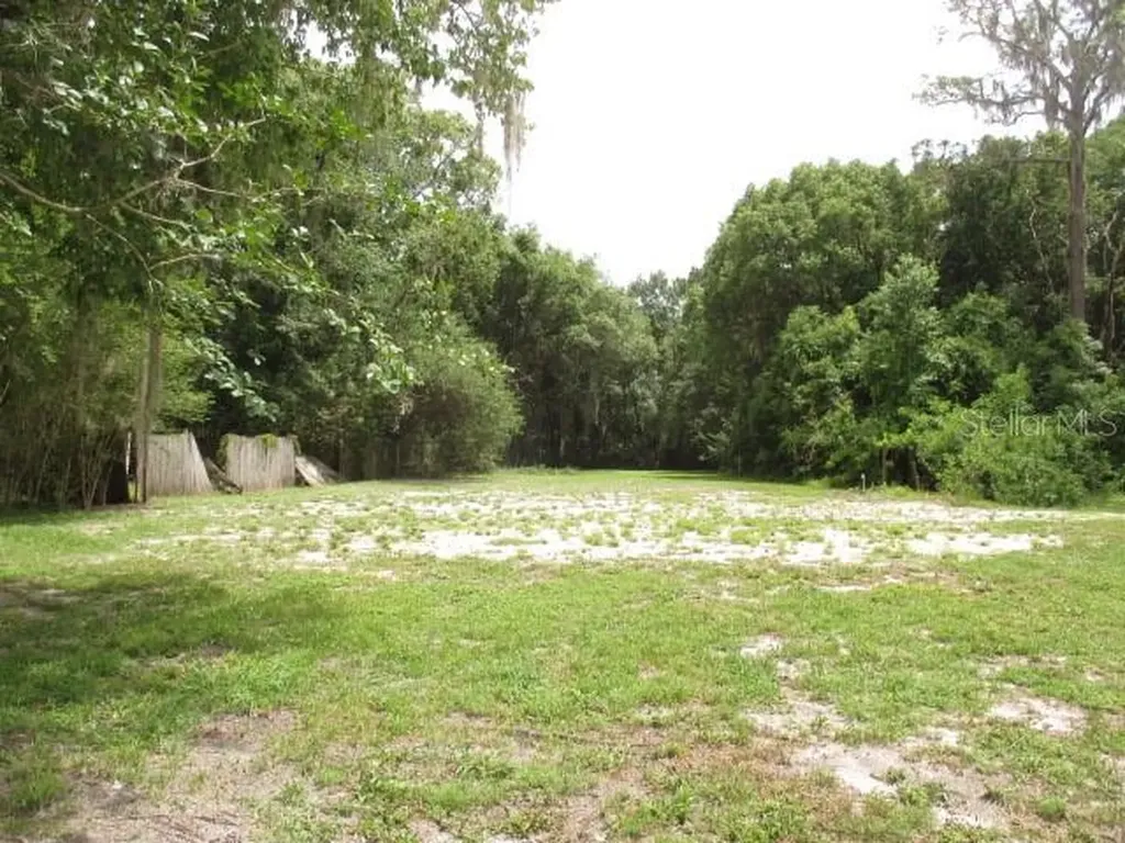 2302 Grant Avenue Eustis FL 32726