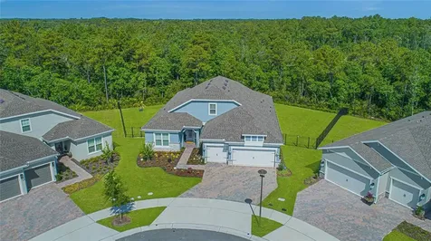 6100 Sandy Springs Court Saint Cloud FL 34771