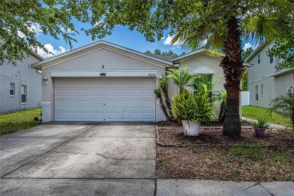 18242 Snowdonia Drive Land O Lakes FL 34638