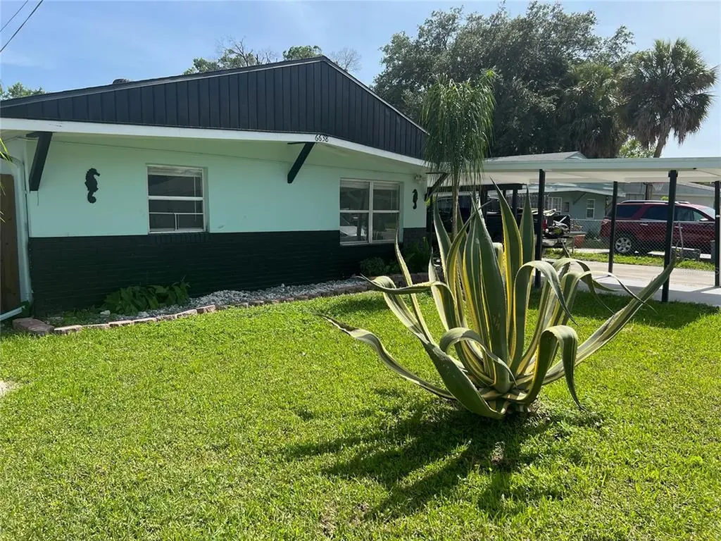 6638 Sandra Drive Port Richey FL 34668