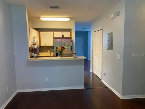 30211 Swinford Lane Wesley Chapel FL 33543