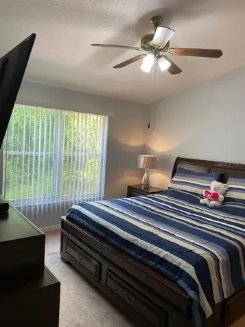 30211 Swinford Lane Wesley Chapel FL 33543