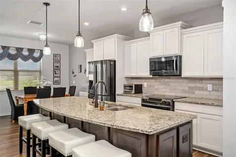 8088 Olive Brook Drive Wesley Chapel FL 33545