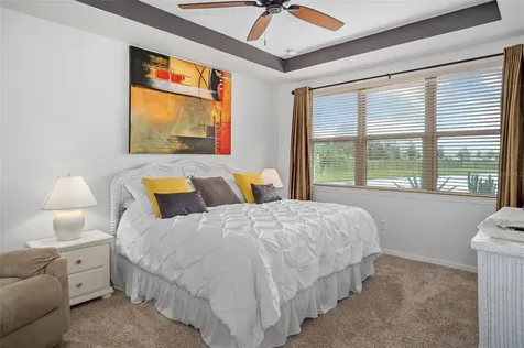 8088 Olive Brook Drive Wesley Chapel FL 33545