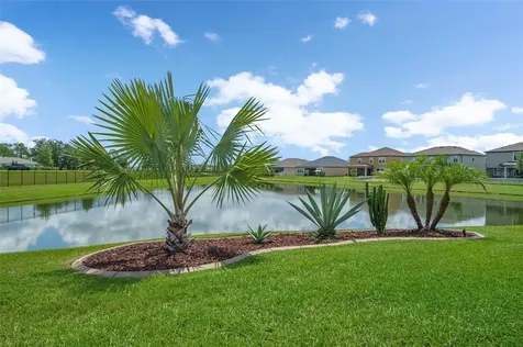 8088 Olive Brook Drive Wesley Chapel FL 33545