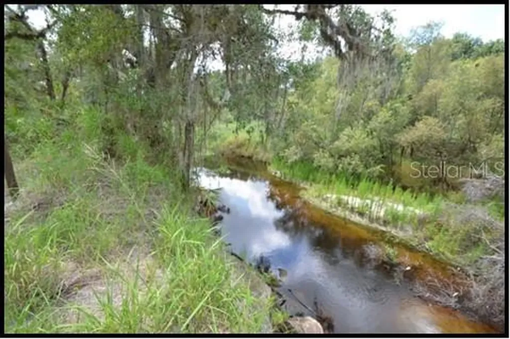 7019 Crooked Creek Lane Zolfo Springs FL 33890