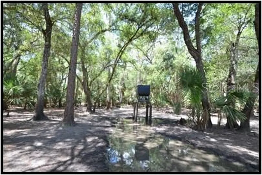 7019 Crooked Creek Lane Zolfo Springs FL 33890