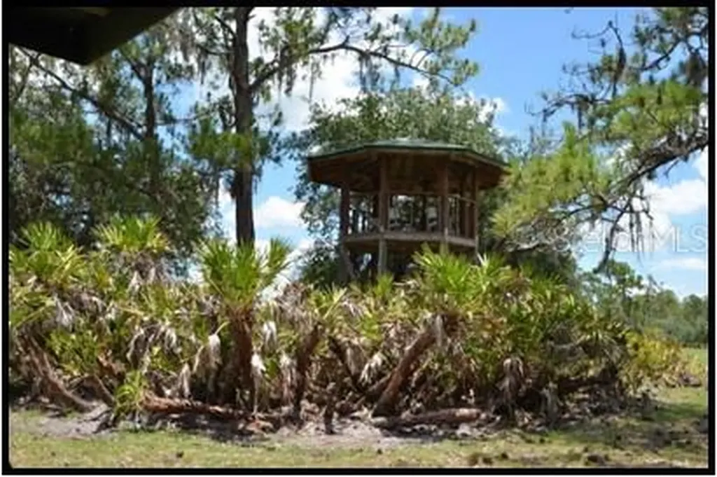 7019 Crooked Creek Lane Zolfo Springs FL 33890