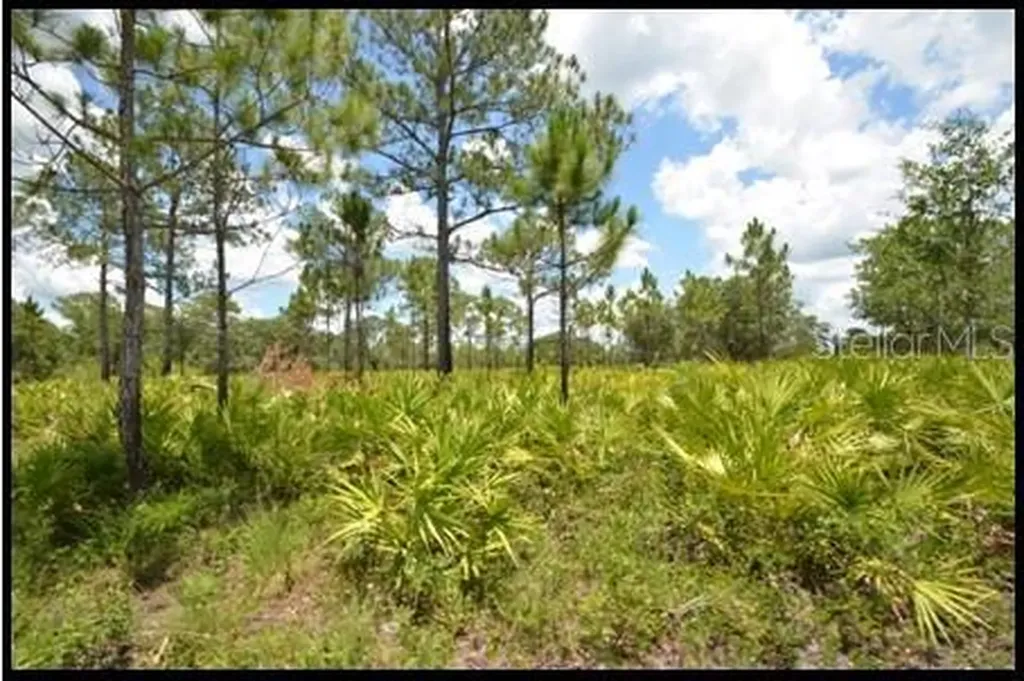 7019 Crooked Creek Lane Zolfo Springs FL 33890