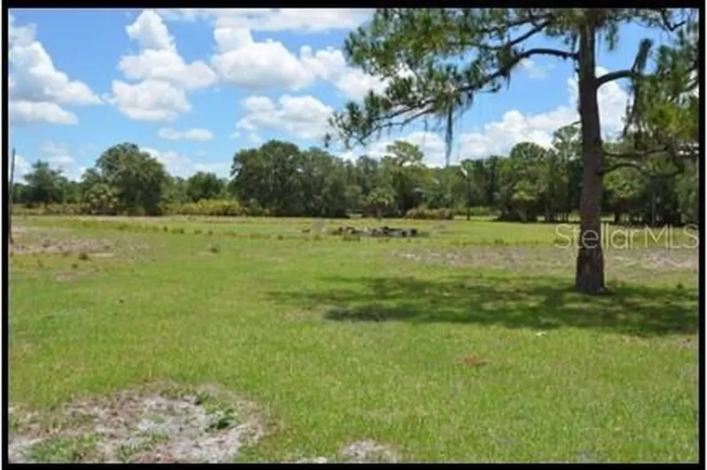 7019 Crooked Creek Lane Zolfo Springs FL 33890