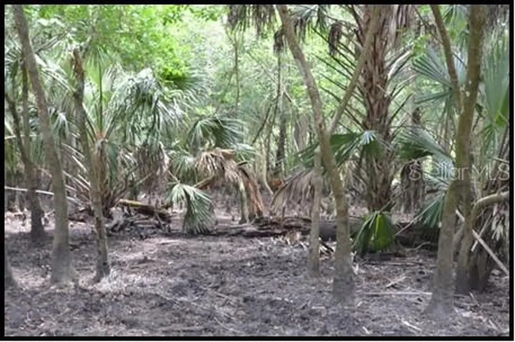 7019 Crooked Creek Lane Zolfo Springs FL 33890