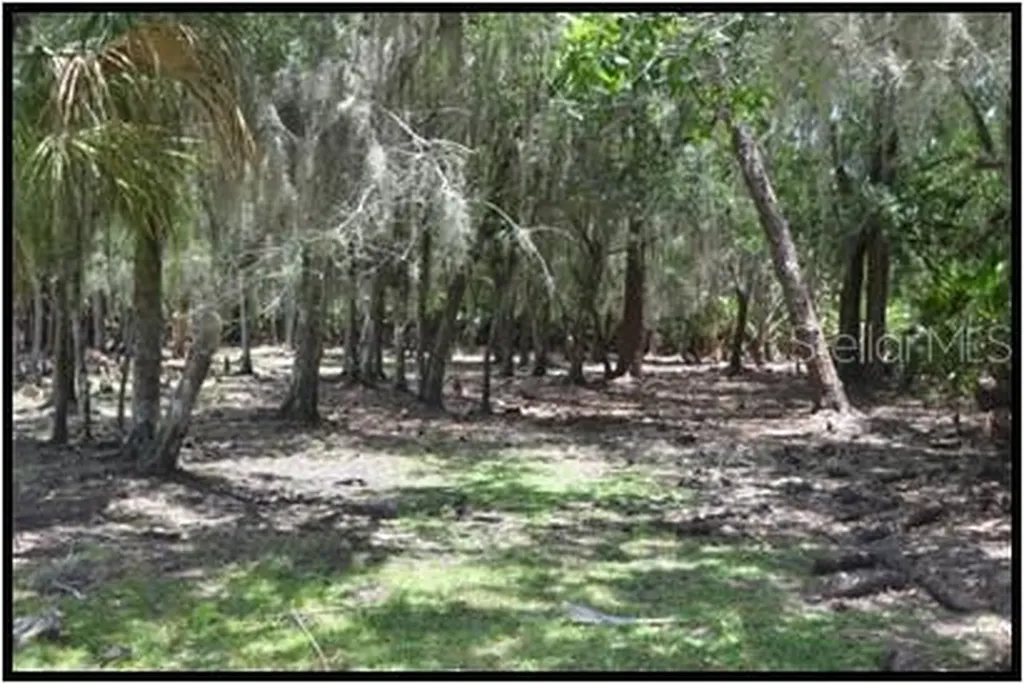 7019 Crooked Creek Lane Zolfo Springs FL 33890