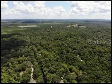 7019 Crooked Creek Lane Zolfo Springs FL 33890