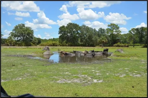 7019 Crooked Creek Lane Zolfo Springs FL 33890