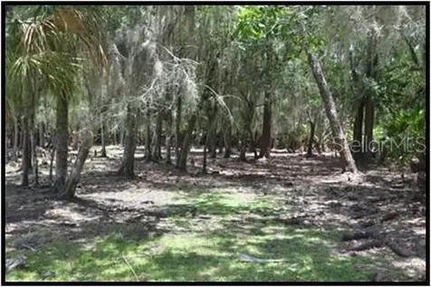 7019 Crooked Creek Lane Zolfo Springs FL 33890