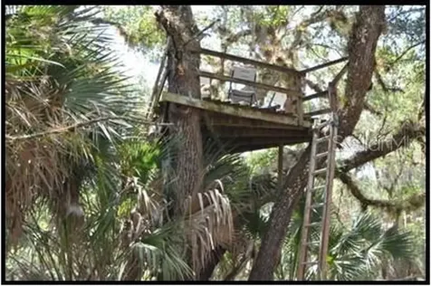7019 Crooked Creek Lane Zolfo Springs FL 33890