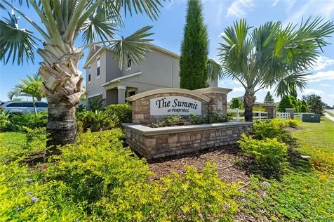 10122 Crested Fringe Drive Riverview FL 33578