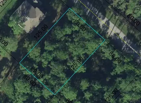 50 Richmond Drive Palm Coast FL 32164