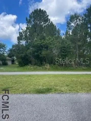 32 Buffalo Meadow Lane Palm Coast FL 32137