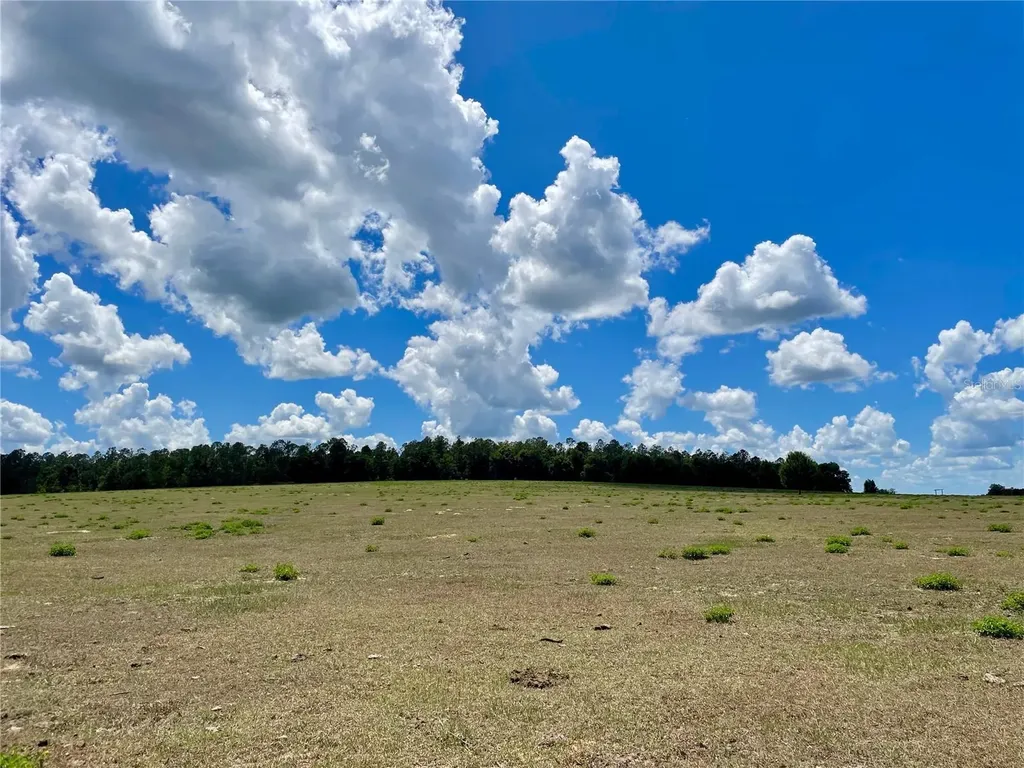 Parrish Grove Road Dade City FL 33523
