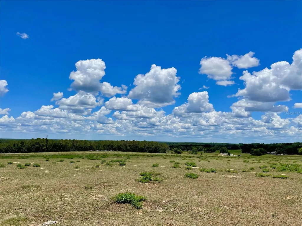 Parrish Grove Road Dade City FL 33523