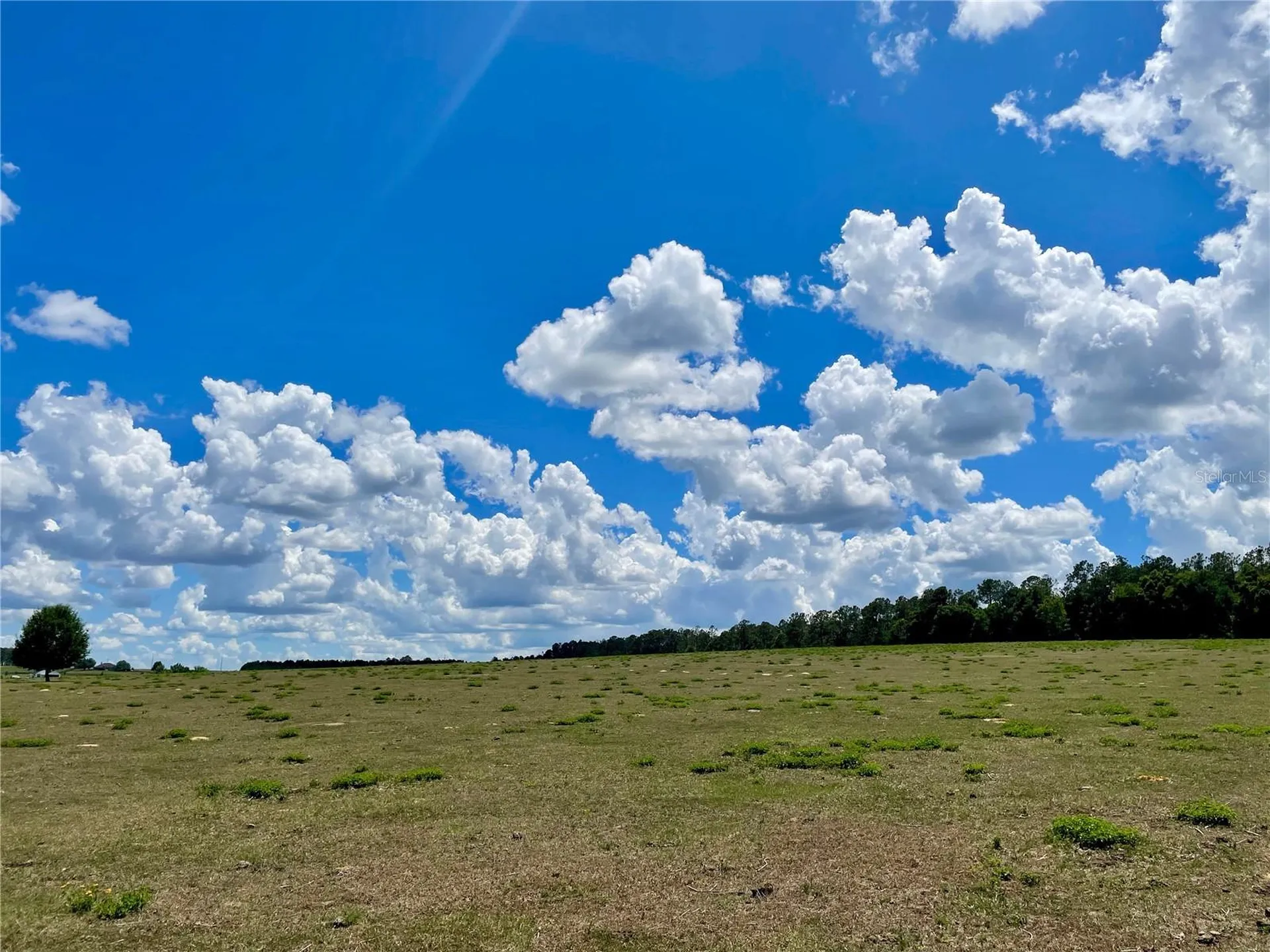 Parrish Grove Road Dade City FL 33523