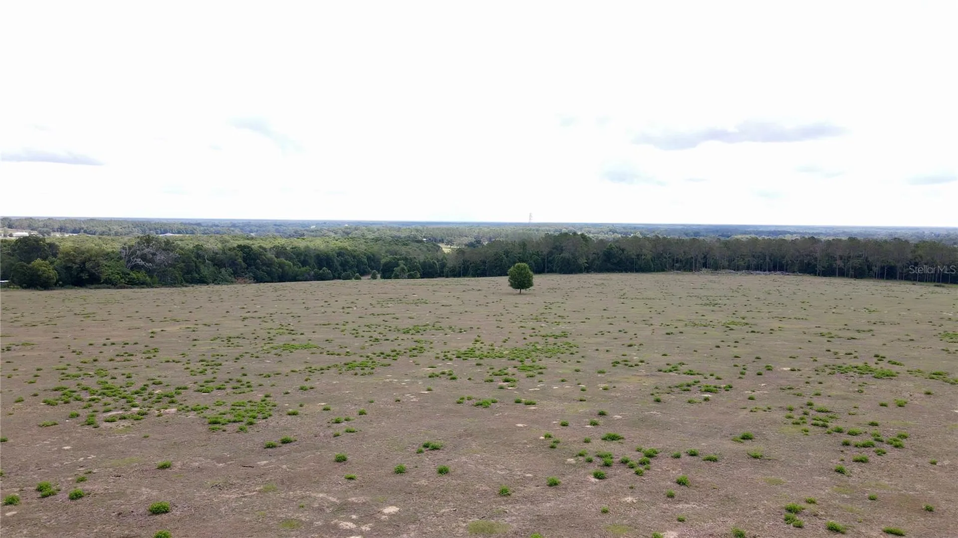Parrish Grove Road Dade City FL 33523