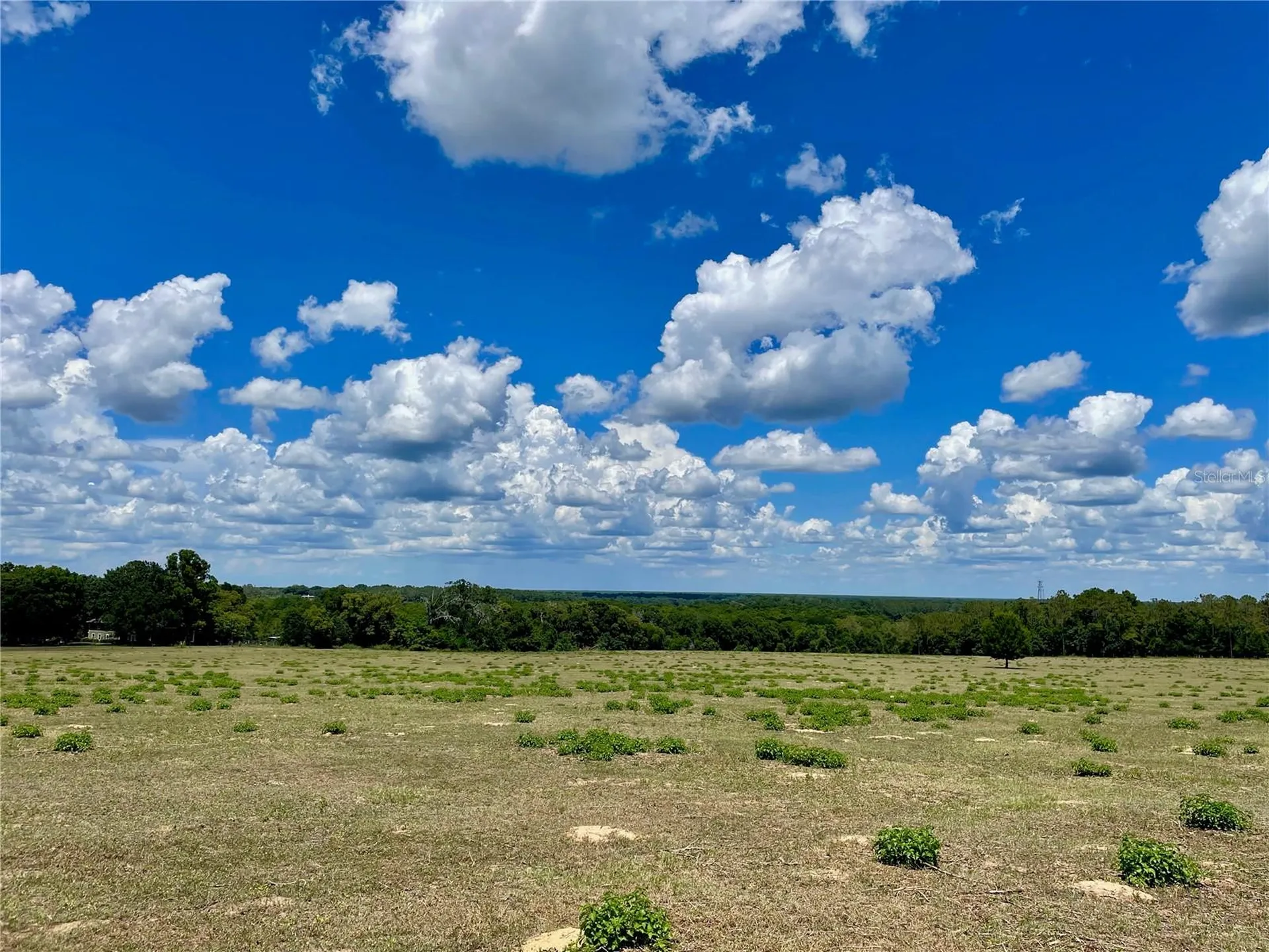 Parrish Grove Road Dade City FL 33523