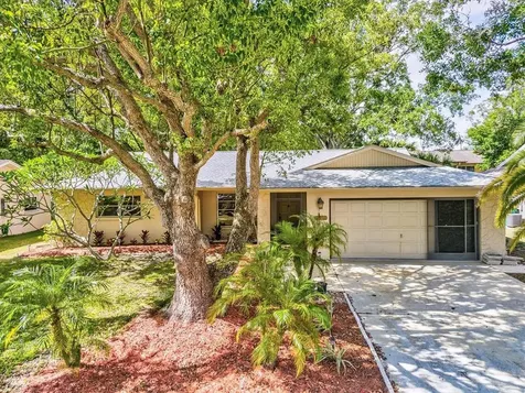 2849 Thistle Court N Palm Harbor FL 34684