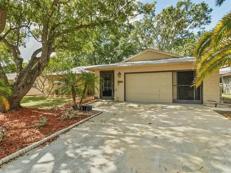 2849 Thistle Court N Palm Harbor FL 34684