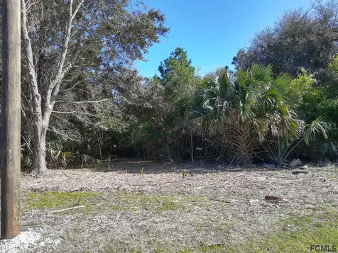 14 Forest Grove Drive Palm Coast FL 32137