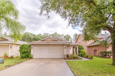 7808 Citrus Blossom Drive Land O Lakes FL 34637